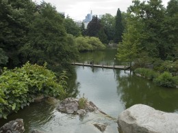  Jahresausflug Frankfurt Palmengarten 58